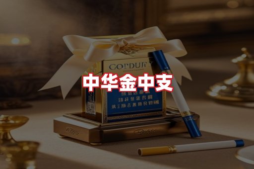 中华金中支